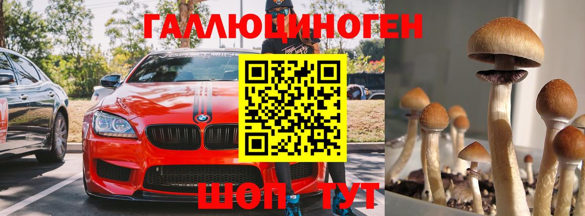 Псилоцибиновые грибы Cubensis  Вход с VPN  Гусиноозёрск  Псилоцибиновые грибы Psilocybine cubensis 